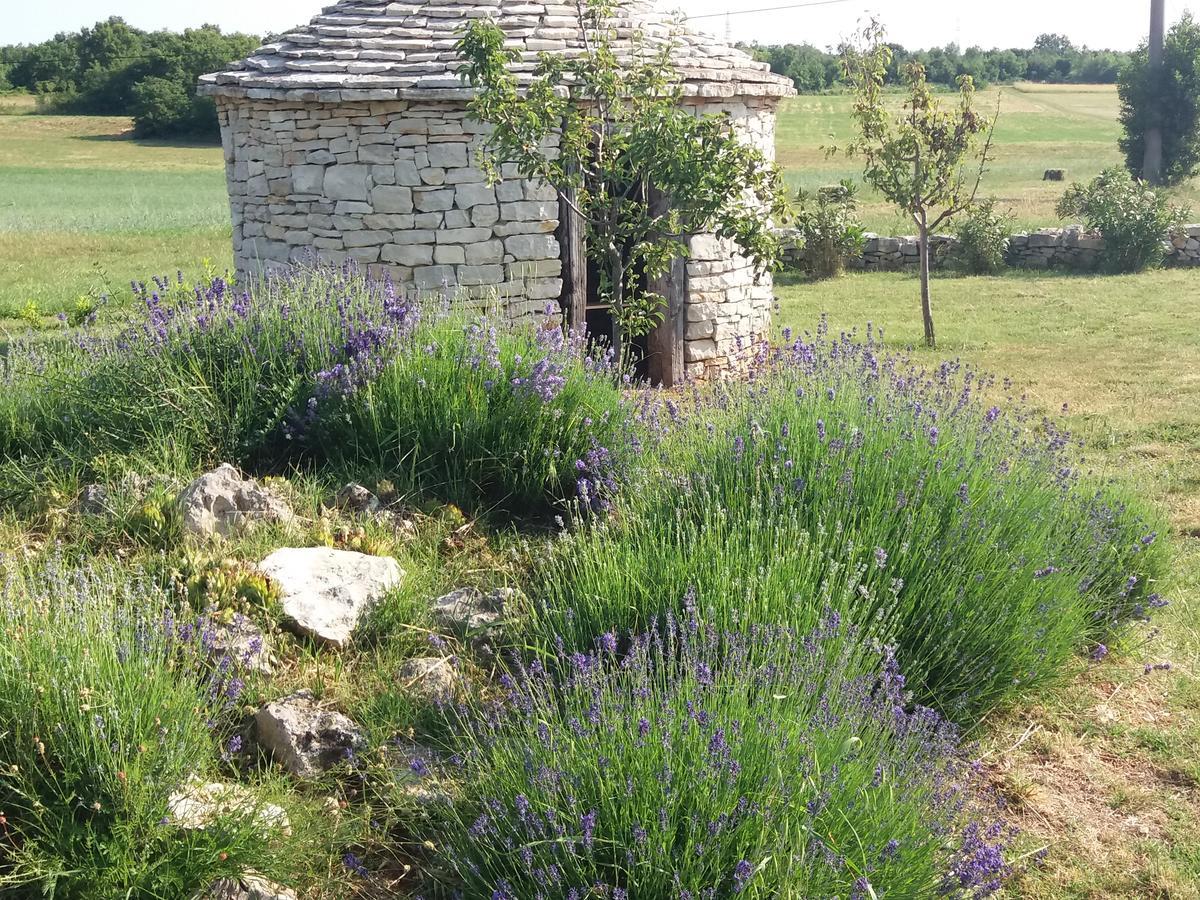 Bed And Breakfast Casa Rustica Vodnjan Bagian luar foto